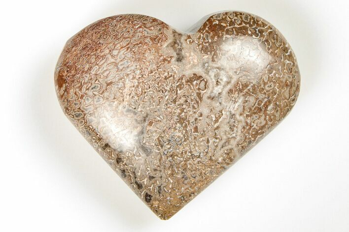 2.3" Polished Dinosaur Bone (Gembone) Heart - Morocco